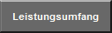 Leistungsumfang